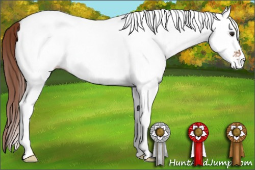 Horse Color: White Spotted Liver Chestnut 