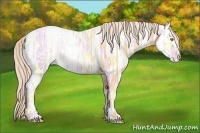Horse Color:Gold Champagne Ice Sabino 