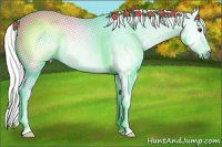 Horse Color:Gray Chestnut 