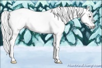 Horse Color:Gray Chestnut Splash Tobiano Frame 
