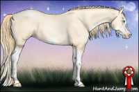Horse Color:Buckskin Pearl Splash Frame 