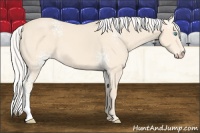 Horse Color:White Spotted Silver Perlino 