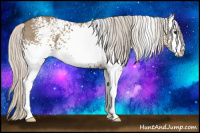 Horse Color:White Spotted Silver Smoky Grullo 