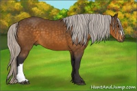 Horse Color:Silver Buckskin 