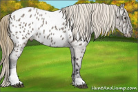 Horse Color:Smoky Grullo Tobiano Appaloosa Rabicano 