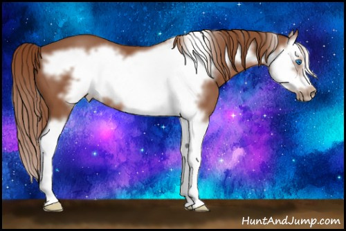 Horse Color:Chestnut Splash Frame 