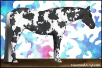 Horse Color:White Spotted Black 
