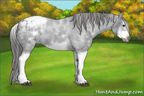 Horse Color: White Spotted Blue Roan Splash Frame Blanket 