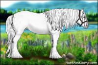 Horse Color:Gray Bay 