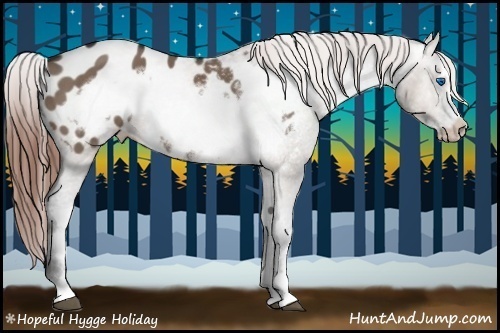 Horse Color:Brown Dun Frame Appaloosa 