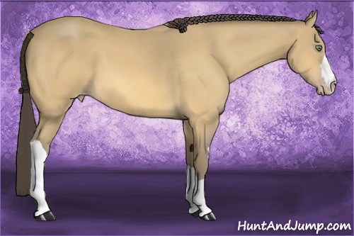 Horse Color:Amber Cream Champagne 