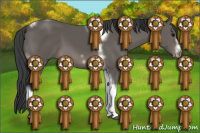 Horse Color:Black Tobiano Frame