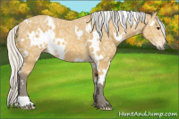 Horse Color:White Spotted Silver Buckskin Ice 