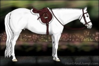 Horse Color:Gray Chestnut Tobiano 