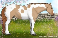 Horse Color:Red Dun Tobiano