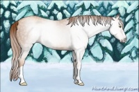Horse Color:Gray Gold Champagne Splash 