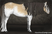Horse Color:White Spotted Buckskin Dun 