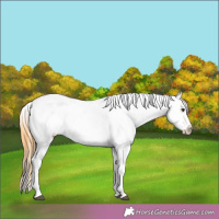 Horse Color:Buckskin Roan Dun Leopard 