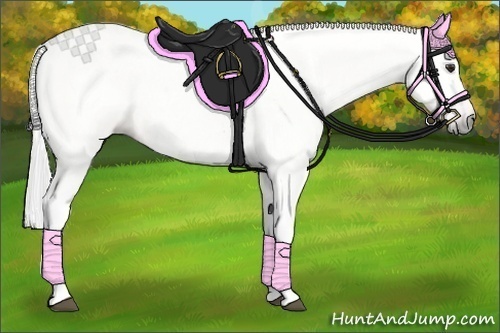 Horse Color:Gray Bay