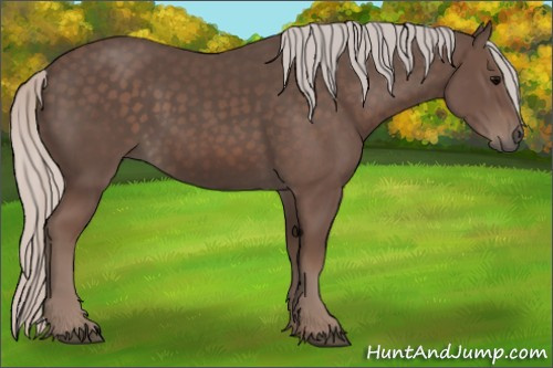 Horse Color:Silver Black 