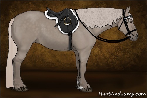Horse Color:Silver Grullo 