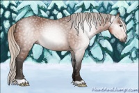 Horse Color:Gray Silver Bay 