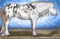 Horse Color:Brown Splash Frame Appaloosa