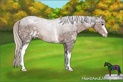 Horse Color: White Spotted Silver Black Ice Sabino 
