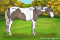 Horse Color:Silver Black Sabino Tobiano 