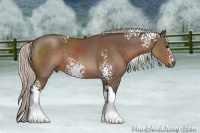 Horse Color:White Spotted Silver Black Tobiano