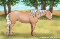 Horse Color:Silver Bay Pearl 