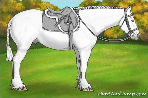 Horse Color:Gray Silver Amber Cream Champagne Roan Dun Splash Tobiano Frame Blanket Rabicano 