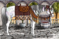 Horse Color:White Spotted Blue Ice Roan Splash Frame Appaloosa