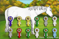 Horse Color:Silver Classic Cream Champagne Roan Appaloosa 