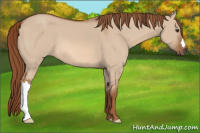 Horse Color:Liver Red Dun 