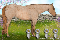 Horse Color:Red Roan 