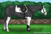 Horse Color:Black Splash 