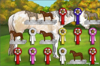 Horse Color:Bay Pearl Dun Sabino