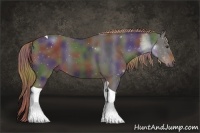 Horse Color:Nacre Liver Chestnut Sabino Tobiano 