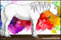 Horse Color:Gray Silver Amber Cream Champagne Roan Dun Splash Tobiano Frame Blanket Rabicano 