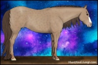 Horse Color:Classic Champagne 