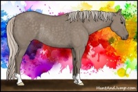 Horse Color:Silver Grullo Rabicano 