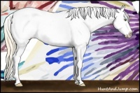 Horse Color:Gold Champagne Roan Dun Splash Tobiano Frame Near Leopard Rabicano 