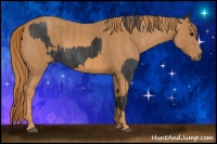 Horse Color:Brown Rabicano  Brindle