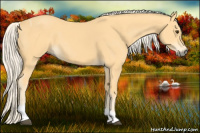 Horse Color:Palomino Tobiano 