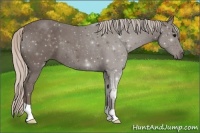 Horse Color:Silver Black 