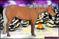 Horse Color:Silver Bay 