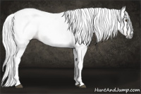 Horse Color:Gray Bay Splash Frame 