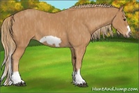 Horse Color:Chestnut Splash Frame  Brindle