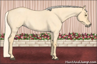 Horse Color:Palomino Roan Dun